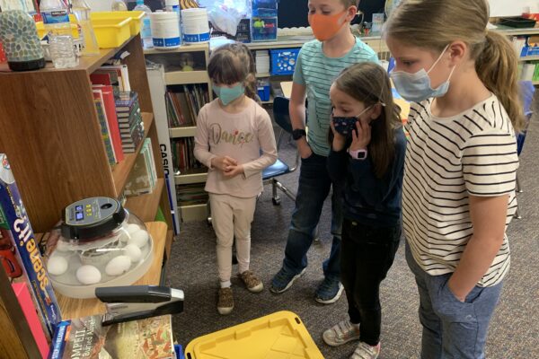 students looking at eggs